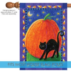 Pumpkin And Cat Rectangular Outdoor House Flag 40" X 28" -PatioVibe Shop 101225 5 94504.1682375021