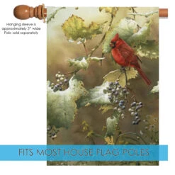 Perching Adorable Cardinal Outdoor House Flag 40" X 28" -PatioVibe Shop 109398 5 09150.1682375440