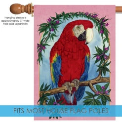 Parrot Perch Outdoor House Flag 40" X 28" 9 Parrot Perch Outdoor House Flag 40" X 28" -PatioVibe Shop 109895 5 50577.1682374707