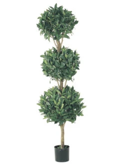 Set Of 2 Potted Artificial Sweet Bay Triple Ball Topiary Trees 5'
