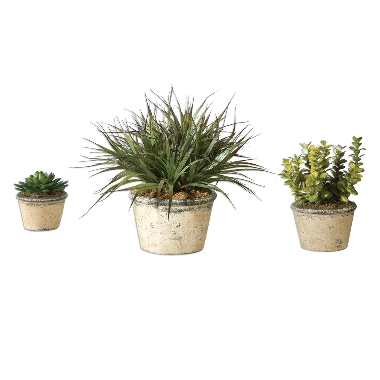 Set Of 3 Decorative Artificial La Costa Greenery In Distressed Pots 18" 1 Set Of 3 Decorative Artificial La Costa Greenery In Distressed Pots 18"
