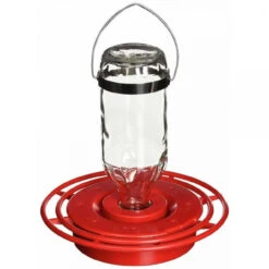 7.50" Clear And Red Hummingbird Water Bulk Glass Bottle Feeder 8 Oz.