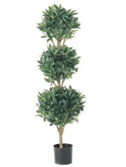 Set Of 2 Potted Artificial Sweet Bay Triple Ball Topiary Trees 4'