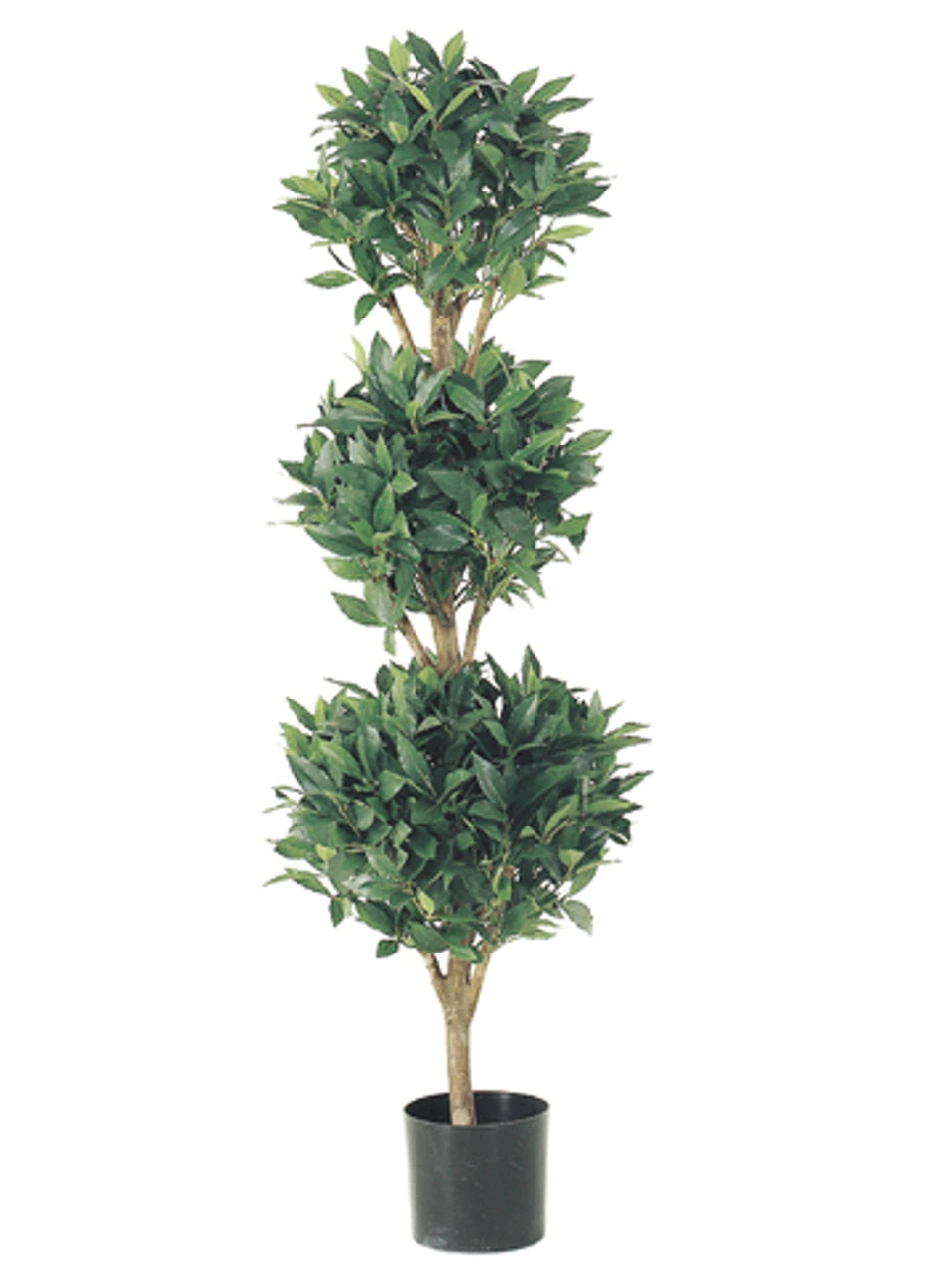 Set Of 2 Potted Artificial Sweet Bay Triple Ball Topiary Trees 4' 1 Set Of 2 Potted Artificial Sweet Bay Triple Ball Topiary Trees 4'