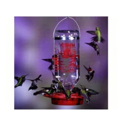 10" Clear And Red Hummingbird Water Bulk Glass Nectar Bottle Feeder 32 Oz.