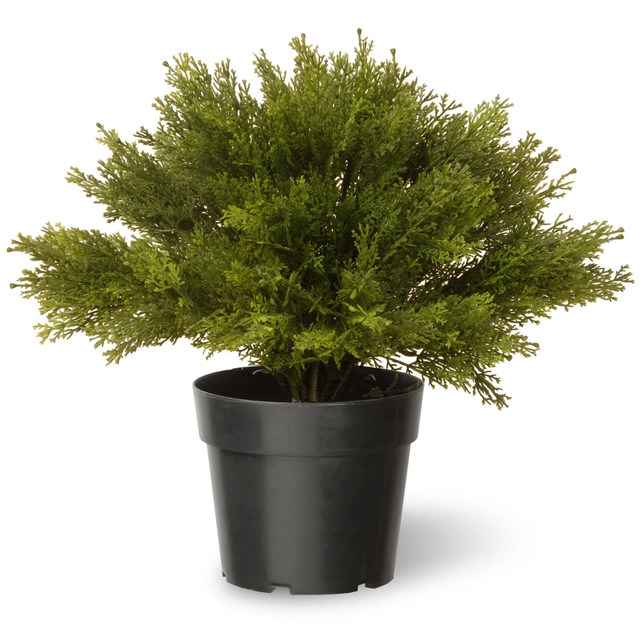 15" Artificial Green Globe Juniper Bush With Round Pot 1 15" Artificial Green Globe Juniper Bush With Round Pot