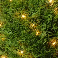 4' X 17" Pre-lit Upright Juniper Artificial Christmas Tree With Urn Base – Clear Lights 5 4' X 17" Pre-lit Upright Juniper Artificial Christmas Tree With Urn Base – Clear Lights -PatioVibe Shop dnat lcy4 302 48 3 09538.1667683071
