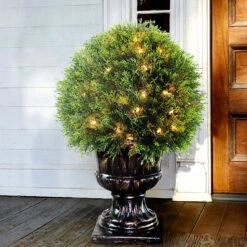 27" Upright Juniper Ball Topiary Tree In Urn - Prelit -PatioVibe Shop dnat lcy4 304 27 2 51880.1667683090