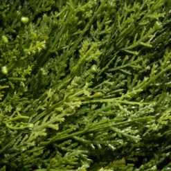 48" Green Potted Artificial Juniper Slim Spiral Topiary Tree -PatioVibe Shop dnat lcysp4 702 48 3 33672.1667683987