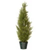 36" Potted Artificial Arborvitae Topiary Tree