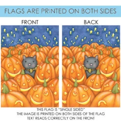 Peekaboo Cat With Pumpkin Outdoor House Flag 40" X 28" 8 Peekaboo Cat With Pumpkin Outdoor House Flag 40" X 28" -PatioVibe Shop dtol100584 4 98246.1682375427