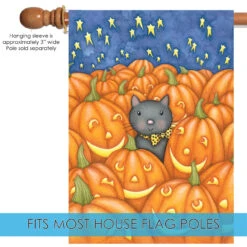 Peekaboo Cat With Pumpkin Outdoor House Flag 40" X 28" 9 Peekaboo Cat With Pumpkin Outdoor House Flag 40" X 28" -PatioVibe Shop dtol100584 5 57330.1682375428
