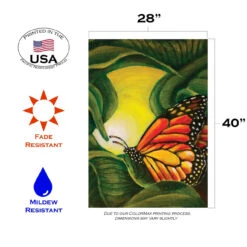 Beautiful Butterfly Outdoor House Flag 40" X 28" 7 Beautiful Butterfly Outdoor House Flag 40" X 28" -PatioVibe Shop dtol109813 3 85942.1682374849