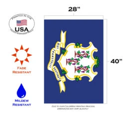 Blue And White Connecticut State Outdoor House Flag 40" X 28" -PatioVibe Shop dtol 1010310 3 54957.1683964491