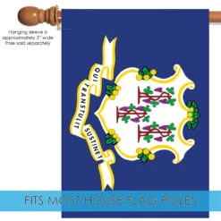 Blue And White Connecticut State Outdoor House Flag 40" X 28" -PatioVibe Shop dtol 1010310 5 83370.1683964492
