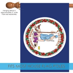 Blue And White Virginia State Outdoor House Flag 40" X 28" -PatioVibe Shop dtol 1010349 5 06109.1683936181