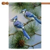 Green And Blue Jay Duet Outdoor House Flag 40" X 28"