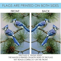 Green And Blue Jay Duet Outdoor House Flag 40" X 28" 8 Green And Blue Jay Duet Outdoor House Flag 40" X 28" -PatioVibe Shop dtol 1010433 4 86359.1683660639