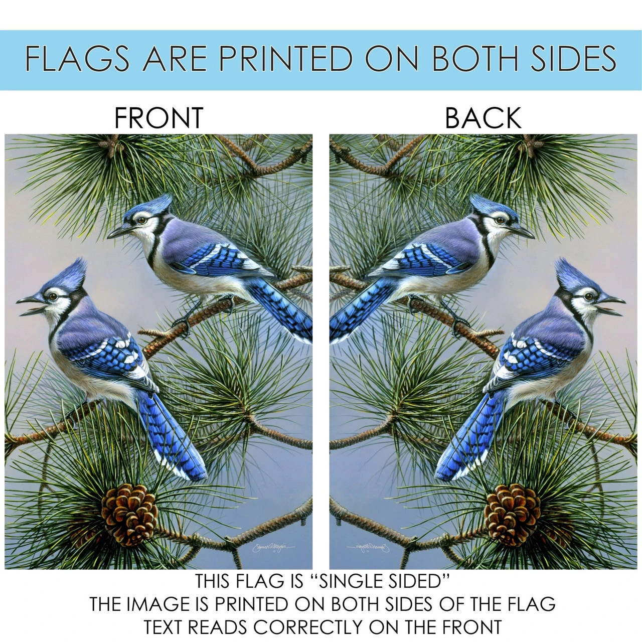 Green And Blue Jay Duet Outdoor House Flag 40" X 28" 4 Green And Blue Jay Duet Outdoor House Flag 40" X 28" - Image 4