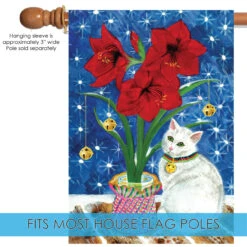 Blue And Red Amaryllis Kitty Outdoor House Flag 40" X 28" 9 Blue And Red Amaryllis Kitty Outdoor House Flag 40" X 28" -PatioVibe Shop dtol 1010463 5 23705.1683689160