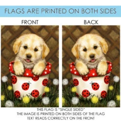 Brown And Red Potted Puppy Outdoor House Flag 40" X 28" 8 Brown And Red Potted Puppy Outdoor House Flag 40" X 28" -PatioVibe Shop dtol 1010808 4 85877.1683833594