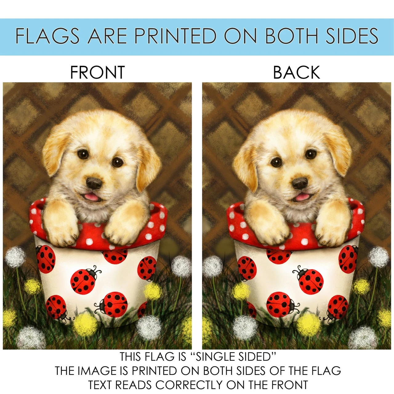 Brown And Red Potted Puppy Outdoor House Flag 40" X 28" 4 Brown And Red Potted Puppy Outdoor House Flag 40" X 28" - Image 4