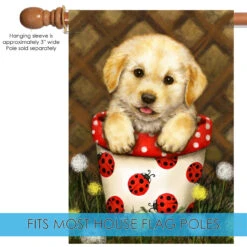 Brown And Red Potted Puppy Outdoor House Flag 40" X 28" 9 Brown And Red Potted Puppy Outdoor House Flag 40" X 28" -PatioVibe Shop dtol 1010808 5 66432.1683833595