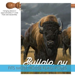 Brown And Black Roaming Buffalo Welcome Outdoor House Flag 40" X 28" 7 Brown And Black Roaming Buffalo Welcome Outdoor House Flag 40" X 28" -PatioVibe Shop dtol 1010971 5 84548.1684182369