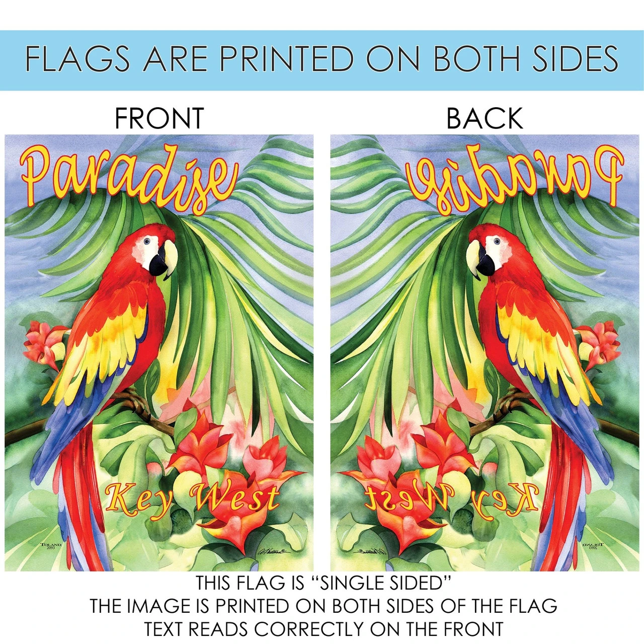 Red And Yellow Macaw Paradise Key West Outdoor House Flag 40" X 28" 4 Red And Yellow Macaw Paradise Key West Outdoor House Flag 40" X 28" - Image 4