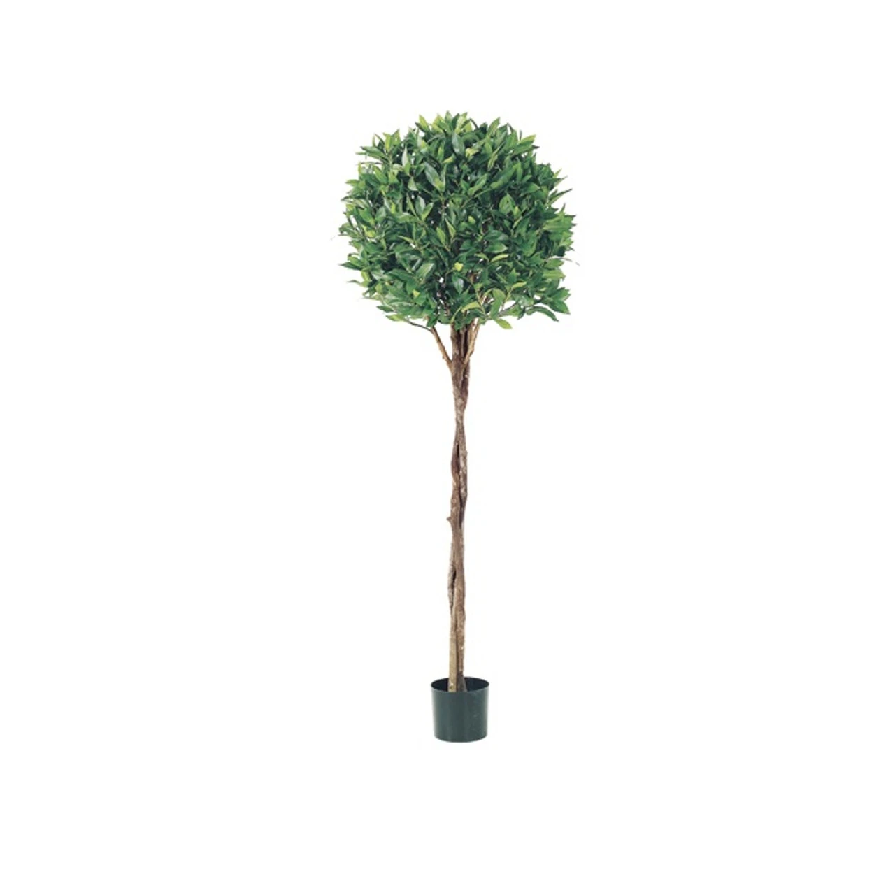 Pack Of 2 Potted Artificial Bay Leaf Ball Topiaries 5' 1 Pack Of 2 Potted Artificial Bay Leaf Ball Topiaries 5'