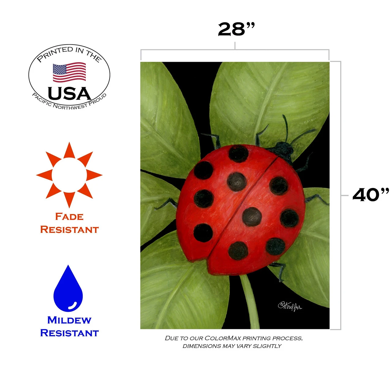 Ladybug Outdoor House Flag 40" X 28" 3 Ladybug Outdoor House Flag 40" X 28" - Image 3
